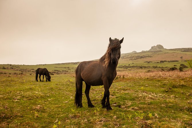 5-Day Devon and Cornwall Small-Group Tour from London - Why this five-day route works