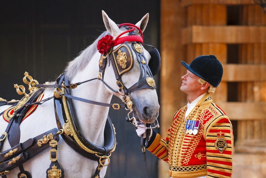 Buckingham Palace: The Royal Mews Entrance Ticket - The Gold State Coach and the weight of ceremony