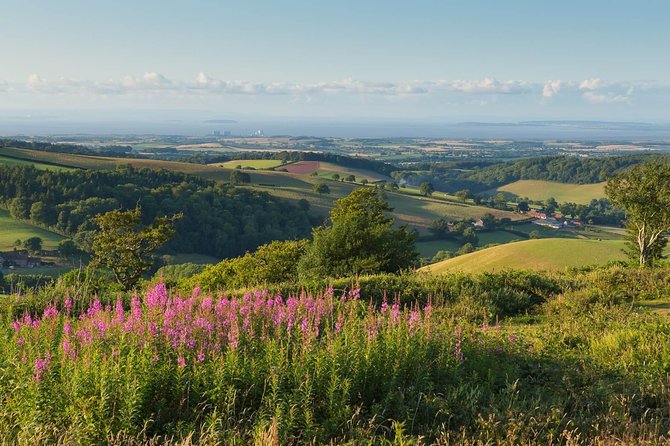 Canterbury & the White Cliffs of Dover Tour (Small-Group) - How much value do you get for $109.73?