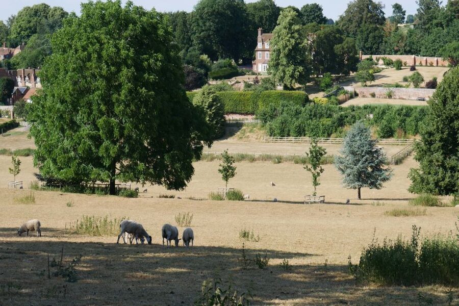 Day-Tour of the Midsomer Murders Locations - The people who will enjoy this most