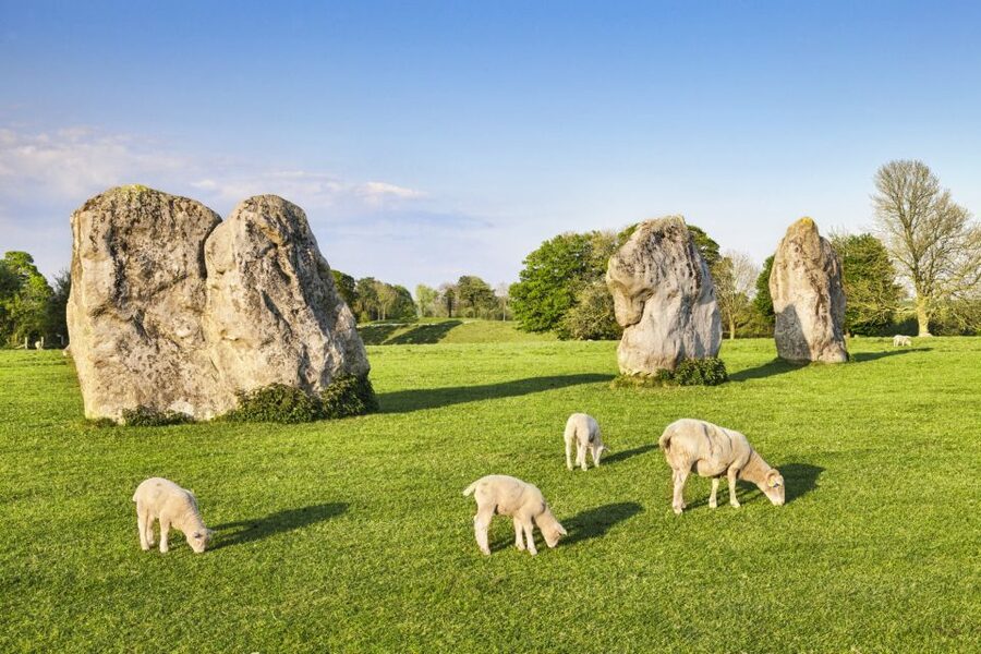 From London: Bath, Avebury and Lacock Village Day Trip - Key points to know before booking