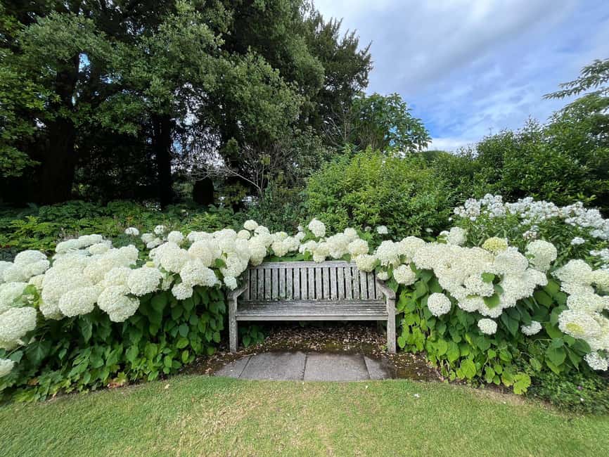 From London: Day Trip to Downton Abbey, Oxford and Bampton - Booking and cancellation details to keep in mind