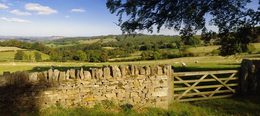 From London: Full-Day Cotswolds Small-Group Tour - The real rhythm of the day