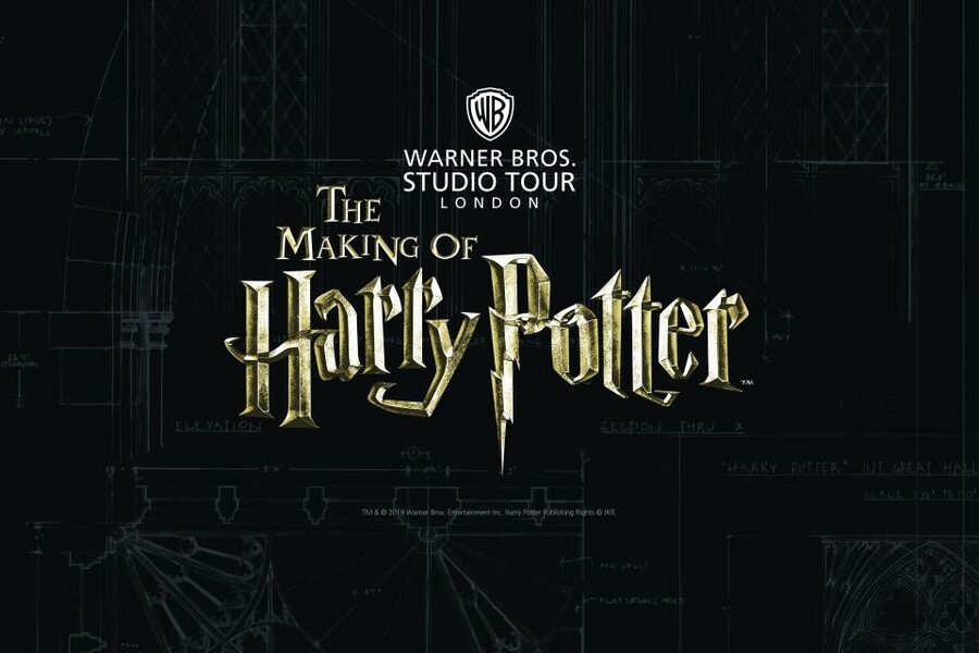 From London: Harry Potter Family Package with Transfers - Costumes, props, and the craft behind the films