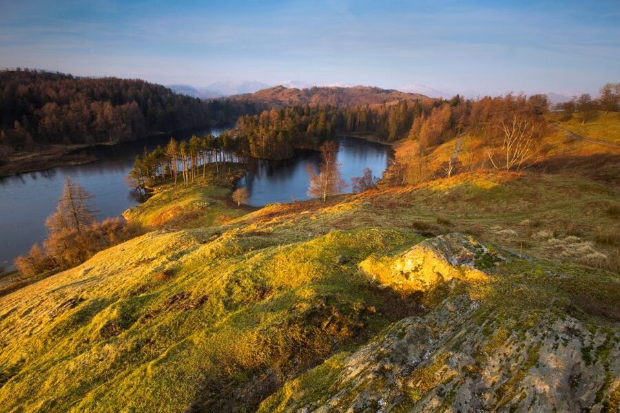 From London: Lake District Tour with Cream Tea & Cruise - Tarn Hows, Yewdale, and the glacial valleys
