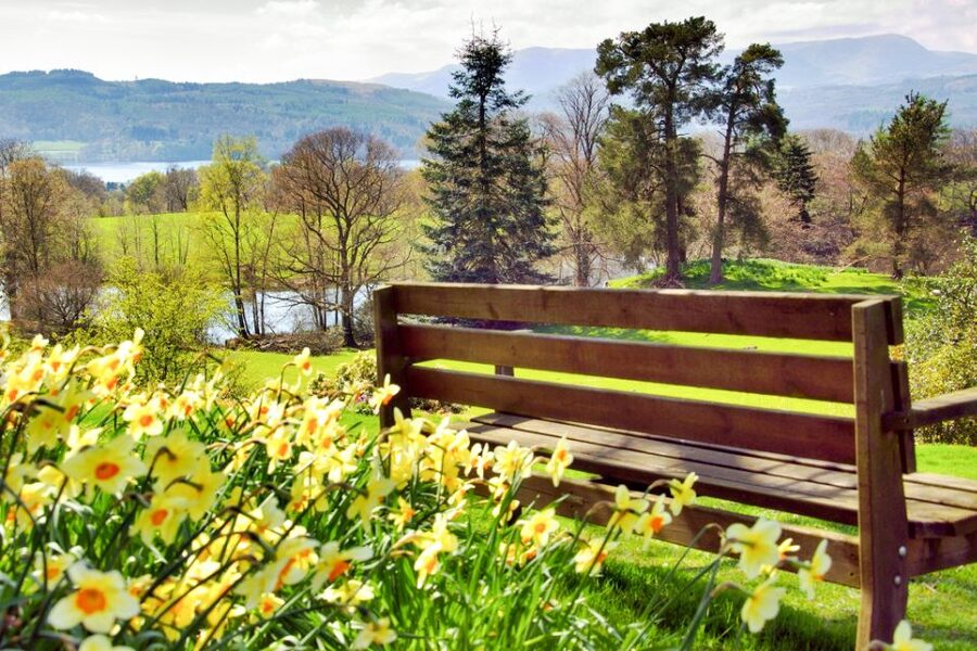 From London: Lake District Tour with Cream Tea & Cruise - Who this Lake District tour suits best