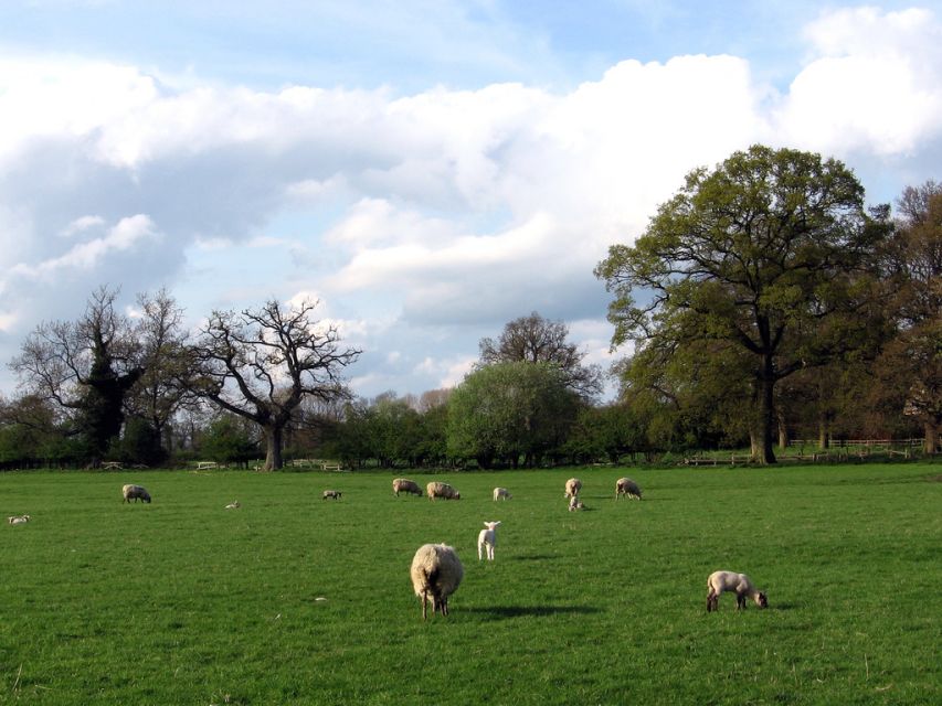 From London: Oxford, Stratford-upon-Avon & Cotswolds Trip - Who will enjoy this experience most