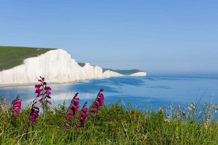 From London: Seven Sisters and Brighton Full-Day Tour - Birling Gap: your first close look at the cliffs