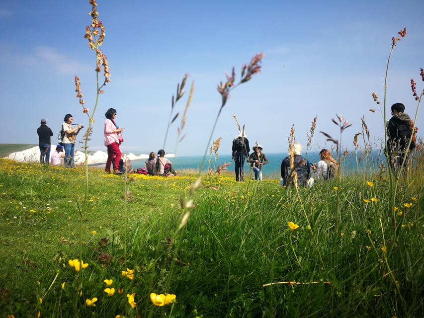 From London: Seven Sisters and Brighton Full-Day Tour - From Brighton to Birling Gap by private minibus