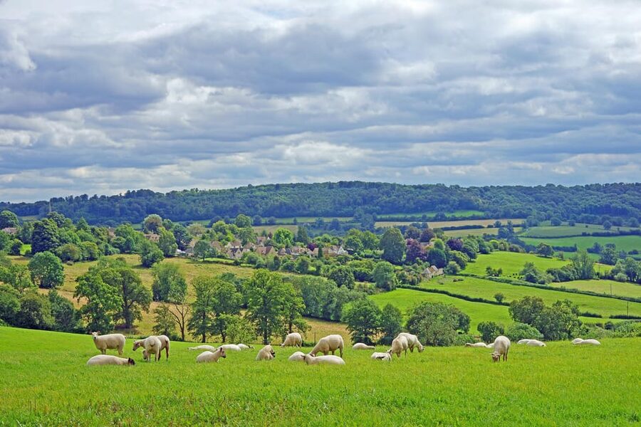 From London: Small Group Stonehenge, Bath & Cotswolds Tour - What the small group changes