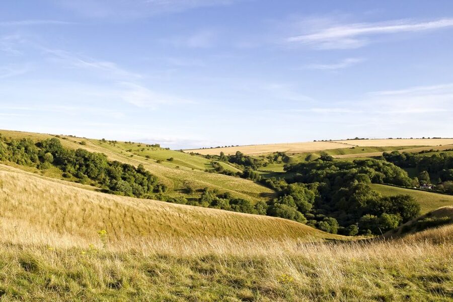 From London: Stonehenge and Bath Day Trip with Ticket - The coach ride back to London