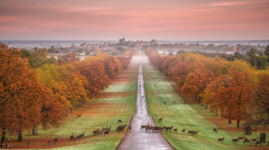 From London: Stonehenge, Windsor and Salisbury Guided Tour - Who should book this Stonehenge and Windsor tour?