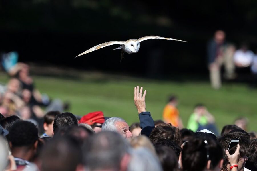 From London: Warwick, Oxford, Stratford & Cotswolds Day Tour - Who should book this experience