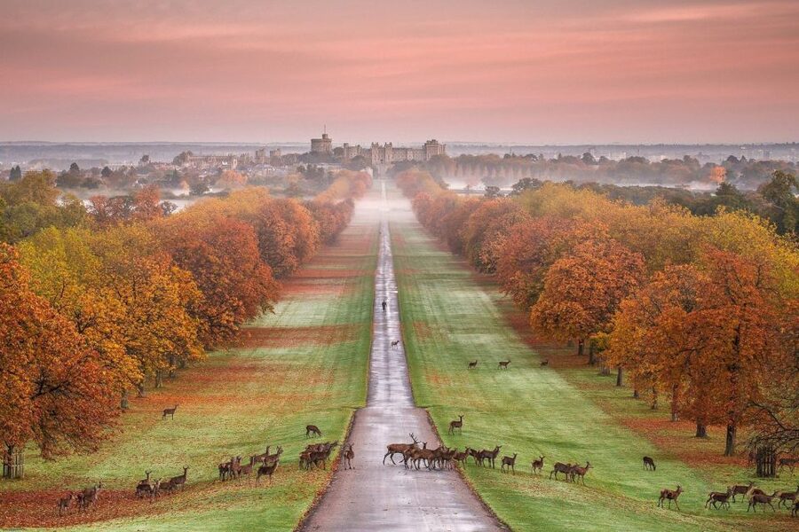 From London: Windsor Castle Afternoon Sightseeing Tour - Small details that make the day easier