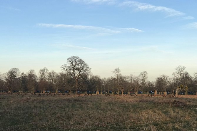 Hampton Court Palace Grounds Bike Tour - A royal ride instead of another palace queue