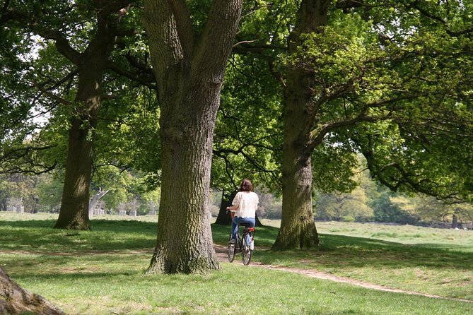 Hampton Court Palace Grounds Bike Tour - What the $55 price delivers