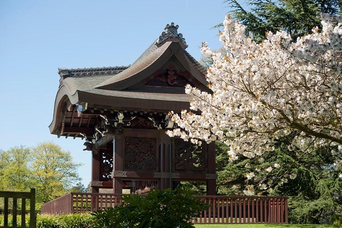 Kew Gardens Entrance Ticket - Food, Rest, and the Practical Shape of a Day