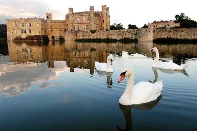 Leeds Castle, Canterbury, Dover & Greenwich Cruise from London - The Thames ride: useful return, mixed cruise experience