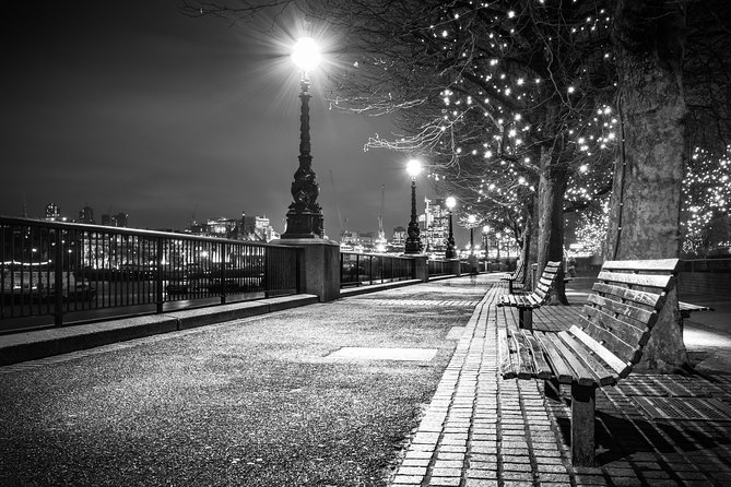 London by Night Bus Tour with Christmas Lights and Live Guide - Piccadilly Circus after dark