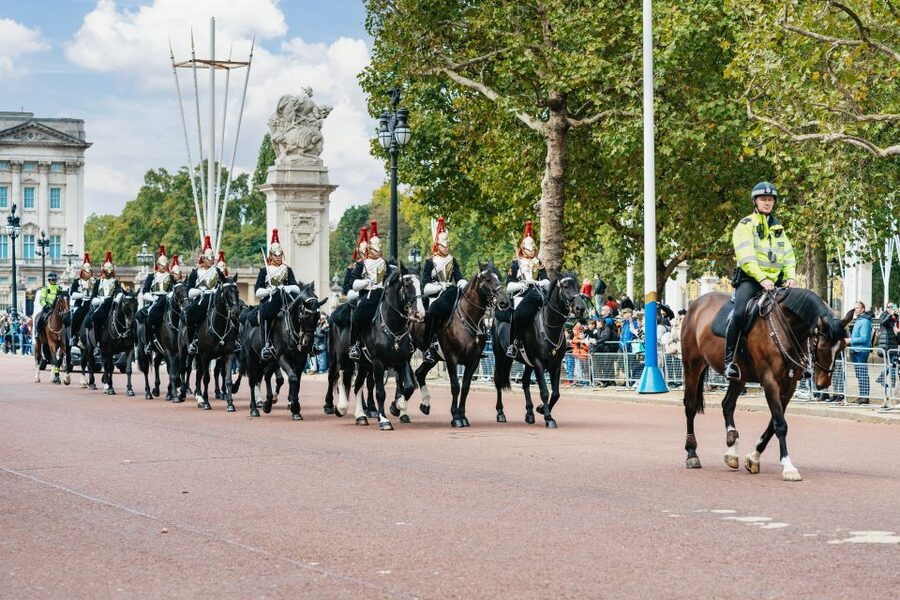 London: Changing of The Guard Tour - What your guide adds to the ceremony