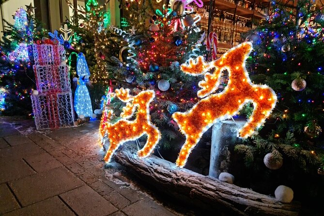 London Christmas Lights Bike Tour with Local Guide - What the riding is really like