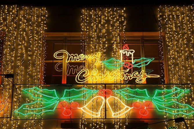 London Christmas Lights Private Tour by Traditional Black Cab - The private cab, the group size, and the price