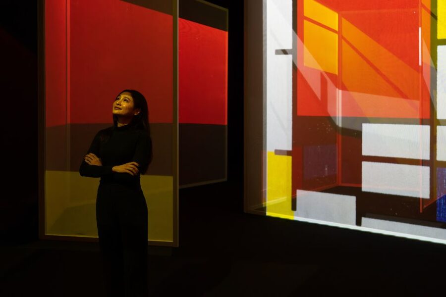 London: Entry Ticket to Frameless Immersive Art Experience - Is $37 a fair price?