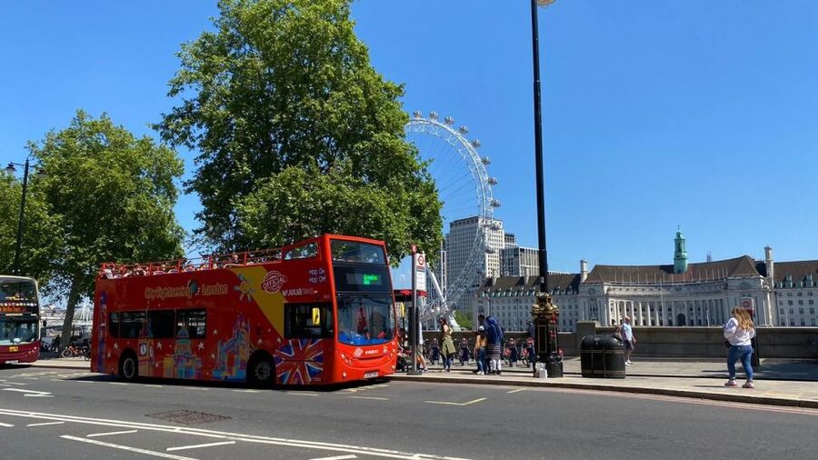 London: Harry Potter Walk, Hop-on Hop-off Bus Tour & Cruise - Who will enjoy this most