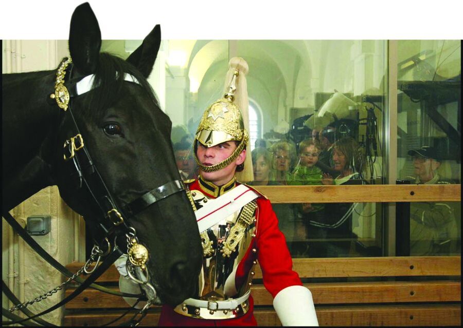 London: Household Cavalry Museum Entry Ticket - Rare objects and interactive displays