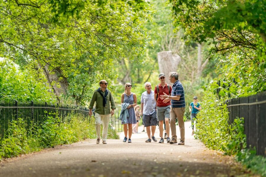 London: Kensington Palace Gardens Tour with Royal High Tea - Accessibility and walking demands