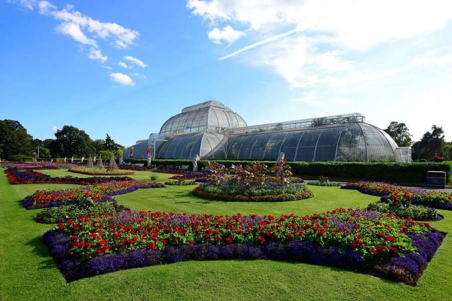 London: Kew Gardens Admission Ticket - Key points to know before you go