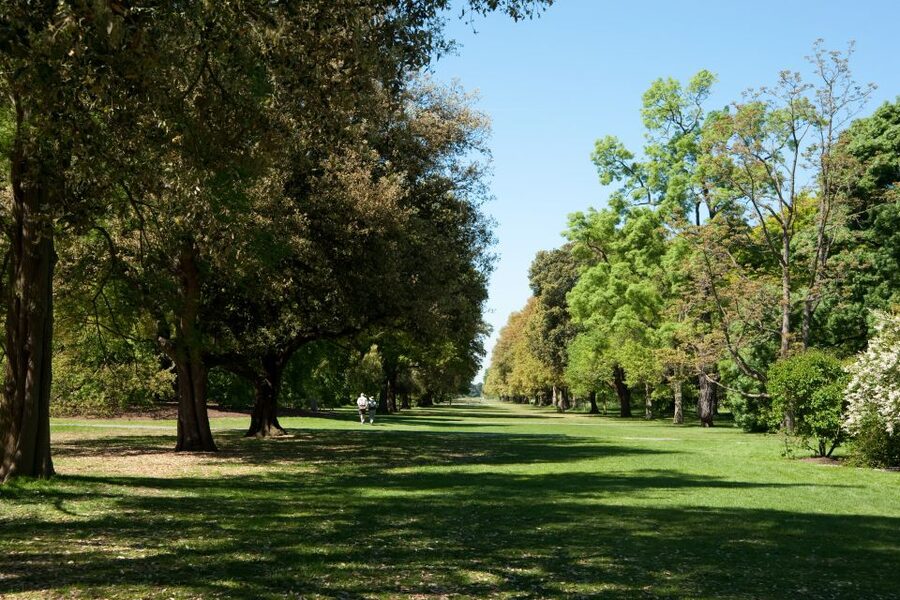 London: Kew Gardens Admission Ticket - Who will enjoy Kew most?