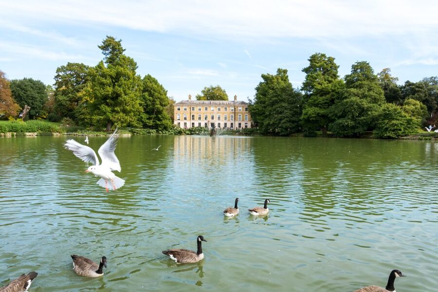 London: Kew Gardens Admission Ticket - Add the art galleries and seasonal displays