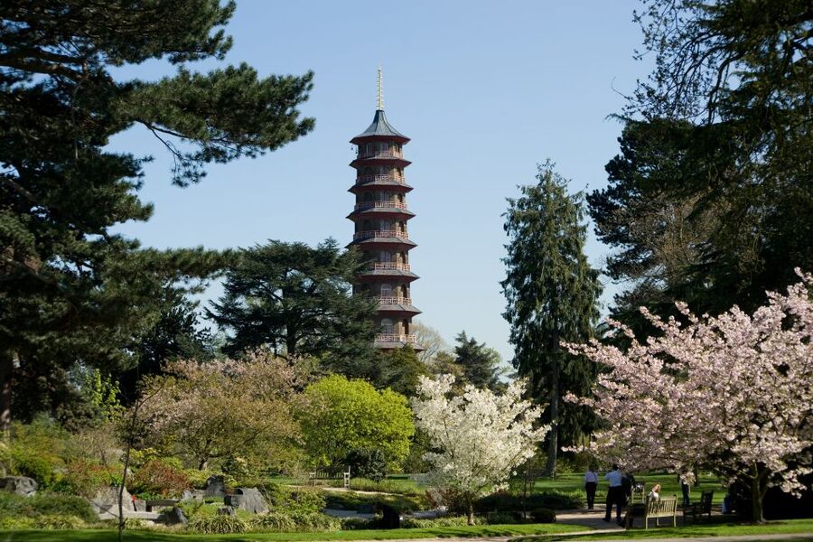 London: Kew Gardens Admission Ticket - Food, picnics, and the extra-cost train