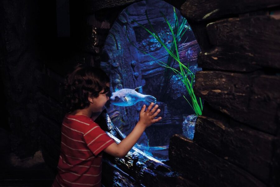 London: Madame Tussauds, London Eye & SEA LIFE Combo Ticket - Key points to know before booking