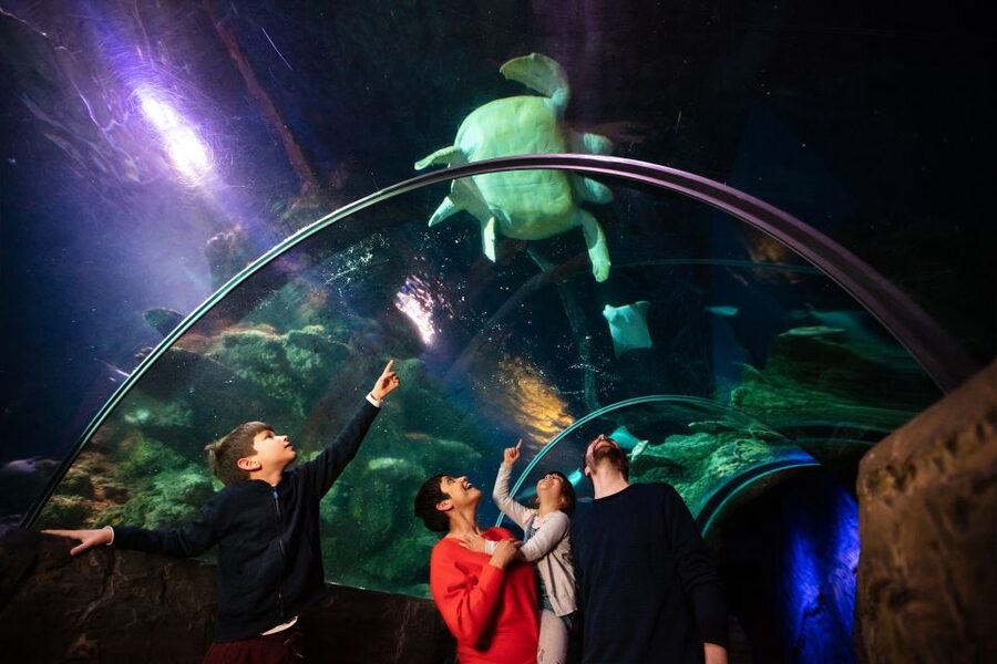 London: Madame Tussauds, London Eye & SEA LIFE Combo Ticket - Madame Tussauds: the strongest part for most people