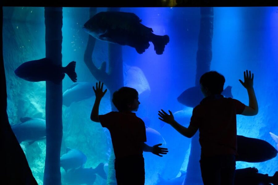 London: Madame Tussauds, SEA LIFE and London Dungeon Entry - Three London attractions, three very different moods