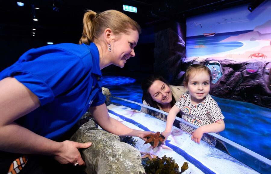 London: Madame Tussauds, SEA LIFE and London Dungeon Entry - How the 90-day pass works in practice