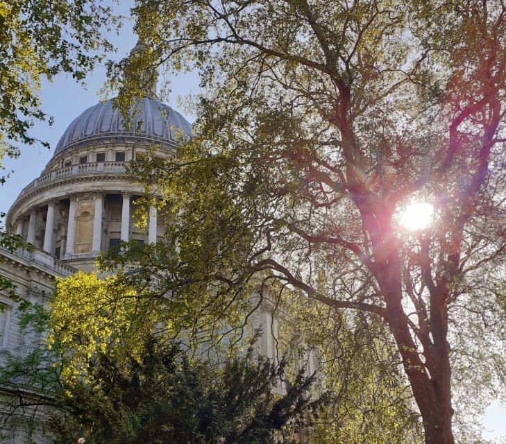 London: Medieval History Walking Tour from The Tower - The Millennium Bridge and St. Paul’s finish