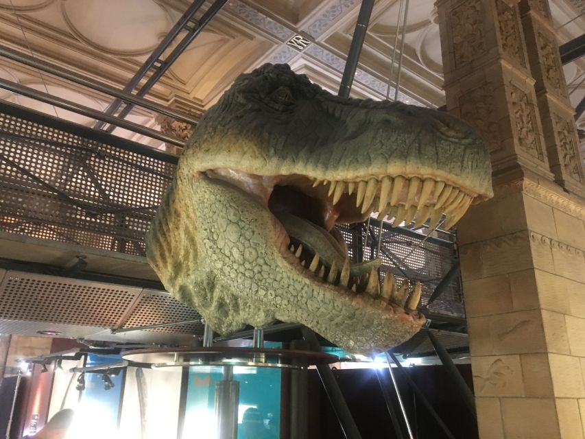 London: Natural History Museum Entry Ticket and Guided Tour - Families, mobility, and the right pace