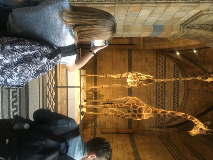 London: Natural History Museum Entry Ticket and Guided Tour - Why this museum works well with a guide