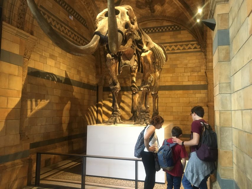 London: Natural History Museum Entry Ticket and Guided Tour - Hintze Hall and the blue whale
