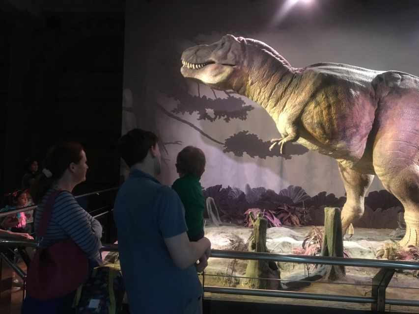 London: Natural History Museum Entry Ticket and Guided Tour - Minerals, gems, and the Evolution gallery