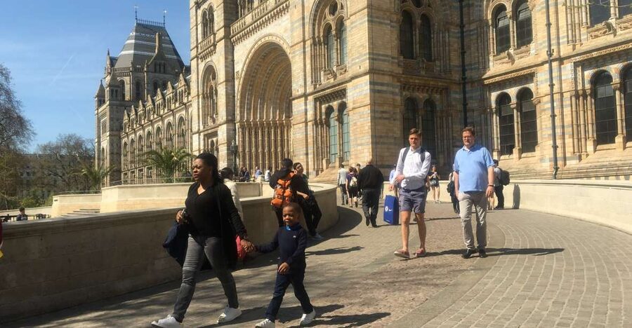 London: Natural History Museum Entry Ticket and Guided Tour - What the guide adds to the visit