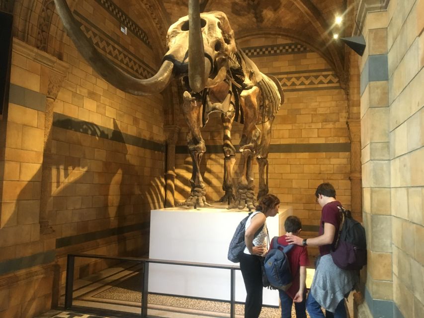 London: Natural History Museum Entry Ticket and Guided Tour - Meeting at South Kensington