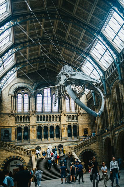 London: Natural History Museum Guided Tour - Why a Guide Helps Inside This Huge Museum