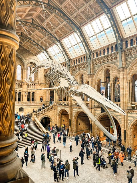 London: Natural History Museum Guided Tour - Starting With Dinosaurs and the First Chapters of Life