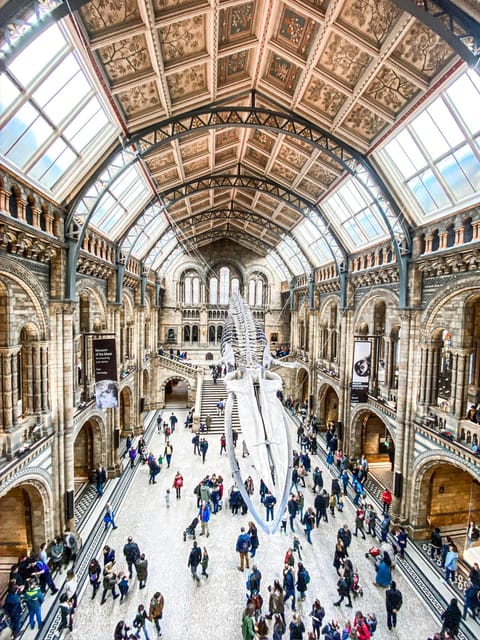 London: Natural History Museum Guided Tour - The Dodo Skeleton and the Reality of Extinction