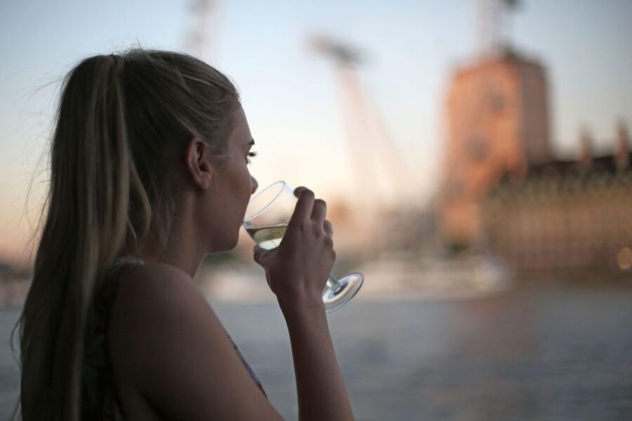 London: River Thames Evening Cruise with Bubbly and Canapés - Comfort, weather, and practical limits