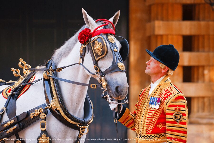 London: Royal Walking Tour with Guard Change & Royal Mews - The Mall turns royal ceremony into a route you can walk